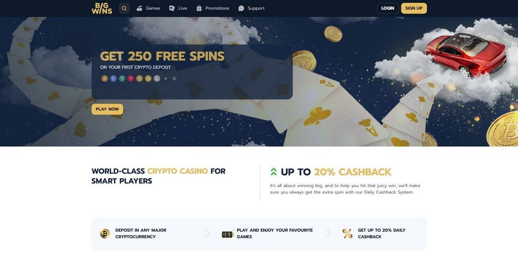 Bigwins Casino Site Review: Complete Testimonial in 2025